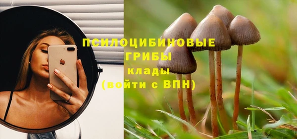 дурь Алзамай