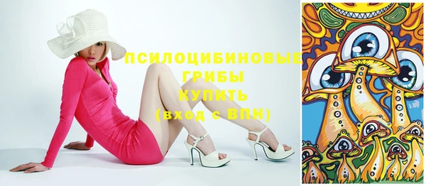 дурь Алзамай